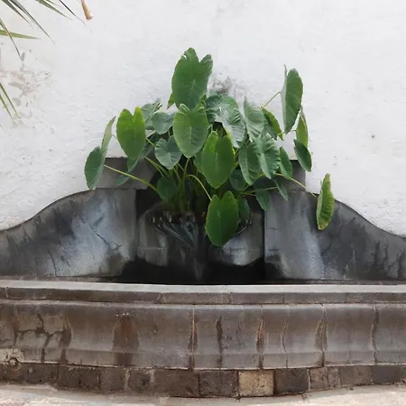 La Casa De Montse Playa De La Tejita * 엘메다노