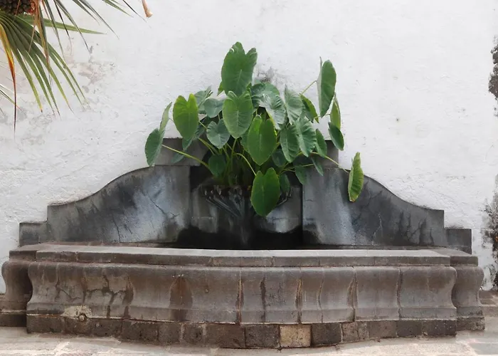 La Casa De Montse Playa De La Tejita * 엘메다노